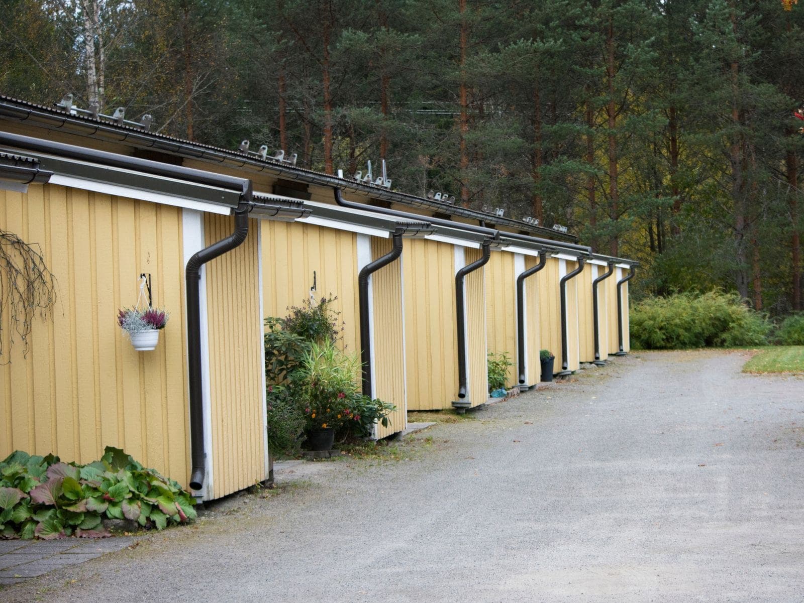 Buildings with gutters and downspouts beside a forest